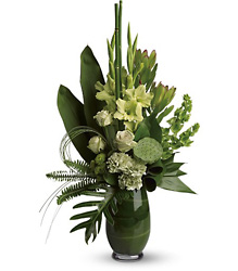 Green with Envy from Brennan's Florist and Fine Gifts in Jersey City
